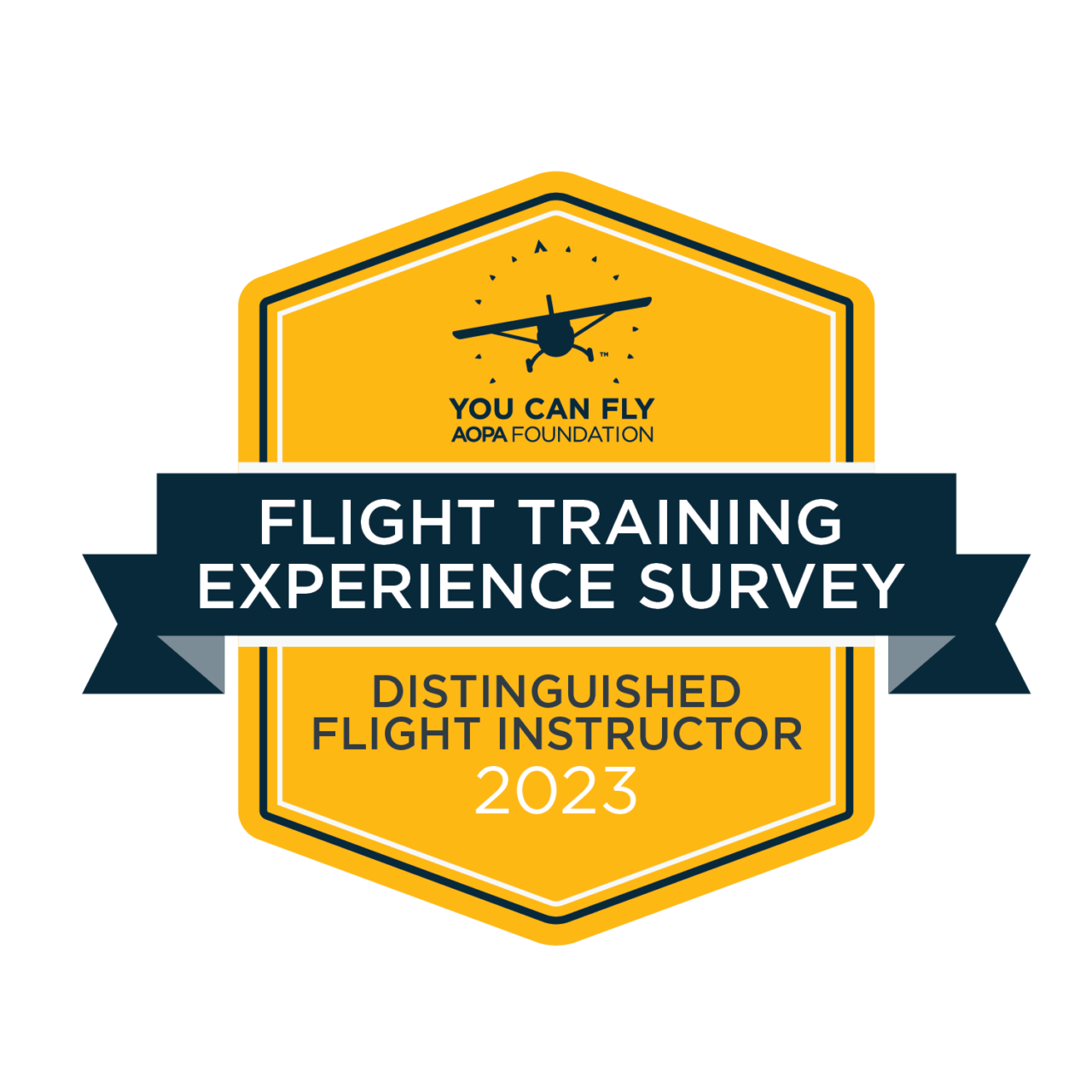Flight Training the Fast and Easy Way Aviation tips, articles